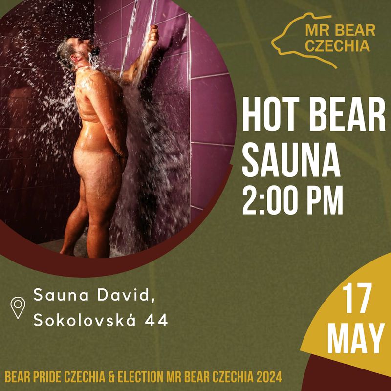 Hot Bear Sauna